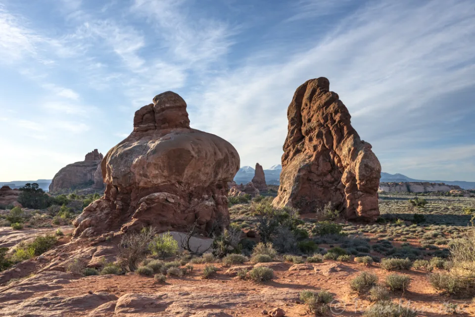 Sandstone fins and hoodoos in the Garden of Eden, Arches National Park
