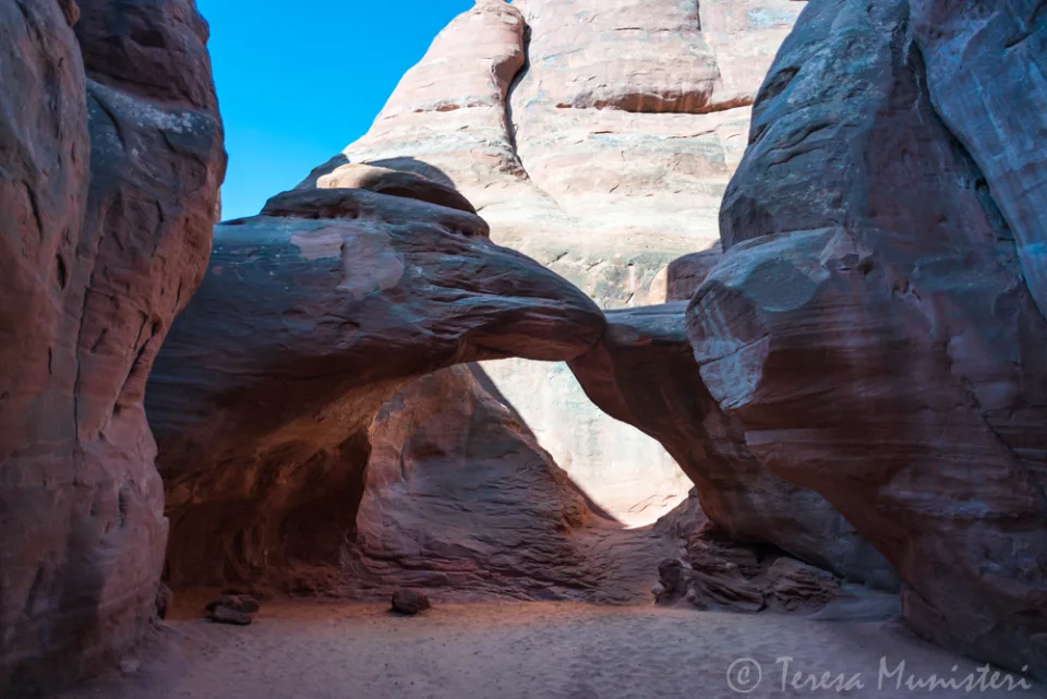 Pine Tree Arch framed by sandstone walls, Devils Garden