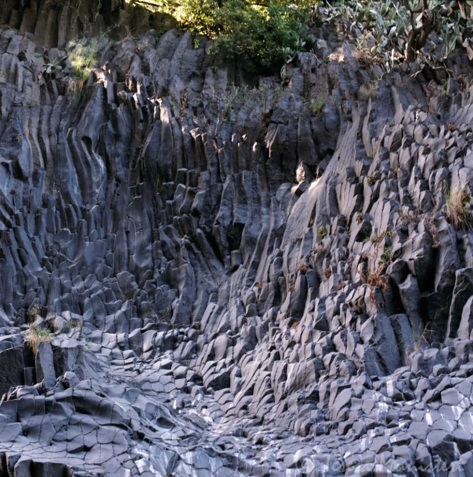 Fluted white rock formations below green brush