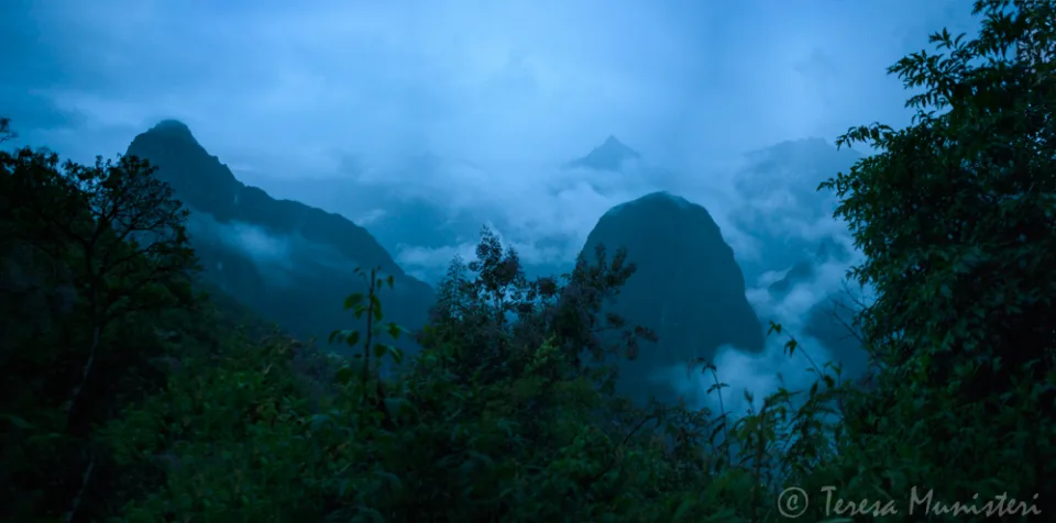 Blue fog drifting over forested peaks