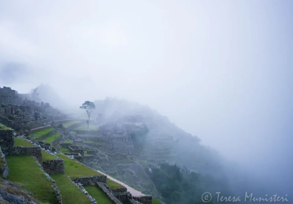 The terraces of Machu Picchu emerging from cloud