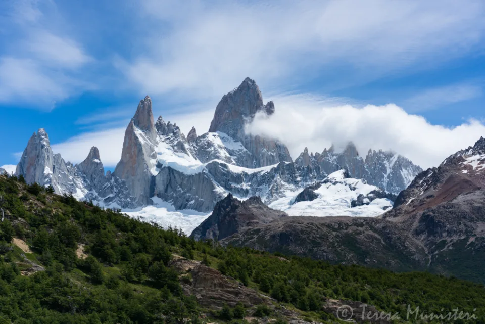 Cerro Fitz Roy above the beech forest, Patagonia